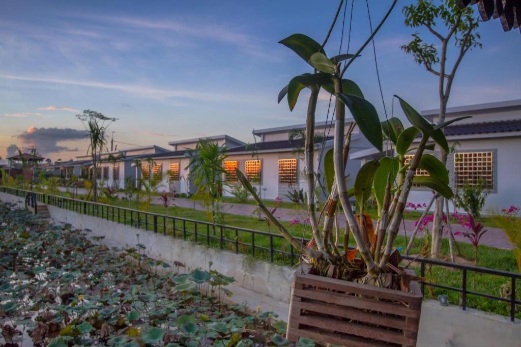 Ry'S Lotus Resort D'Angkor Siem Reap Dış mekan fotoğraf