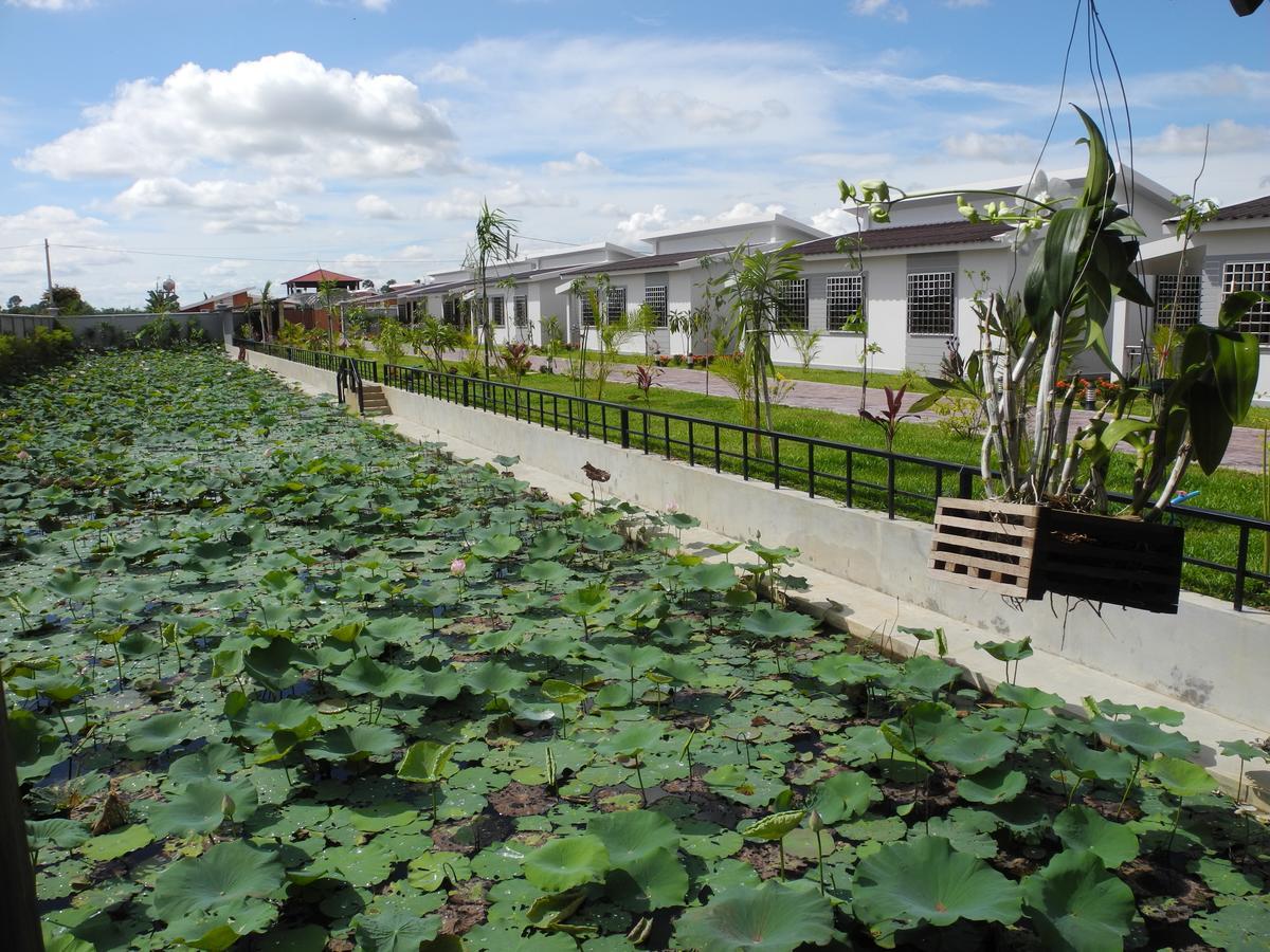 Ry'S Lotus Resort D'Angkor Siem Reap Dış mekan fotoğraf